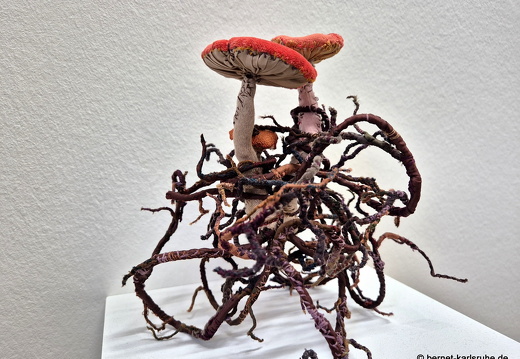 25-02-28-kunstgalerie-ausstellung-ohwald-martin sander-002