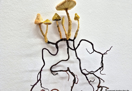 25-02-28-kunstgalerie-ausstellung-ohwald-martin sander-003