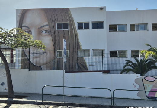 25-01-08-los llanos-wandmalerei-murales-002