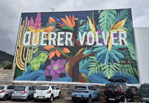 25-01-06-los llanos-wandmalerei-006