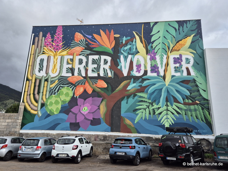 25-01-06-los llanos-wandmalerei-006.jpg