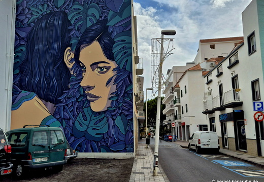 25-01-06-los llanos-wandmalerei-007