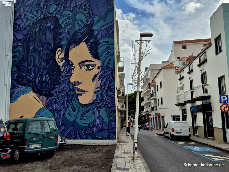 25-01-06-los llanos-wandmalerei-007.jpg