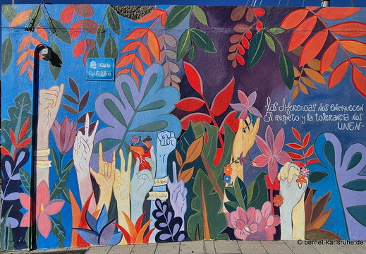 25-01-08-los llanos-wandmalerei-calle la sabina-001