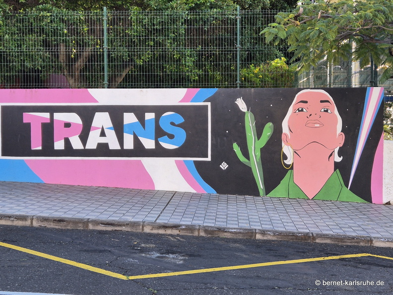 25-01-08-los llanos-wandmalerei-murales-.jpg