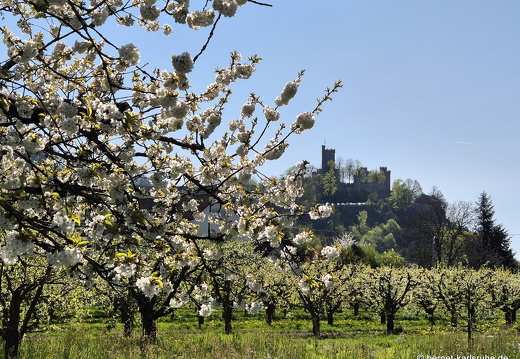 25-04-05-ortenberg-untere matt-037