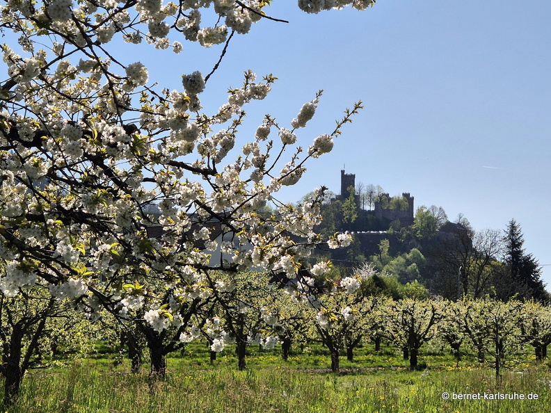 25-04-05-ortenberg-untere matt-037.jpg