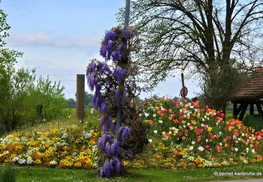 25-04-20-ortenberg-hauptstrasse-