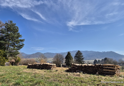 25-03-09-blumenstockstrasse-