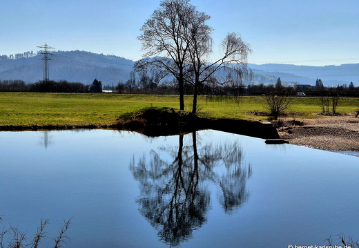 25-03-19-am grossendeich-004