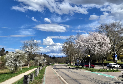 25-03-22-weingartenstrasse-001