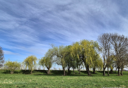 25-03-30-am grossendeich-