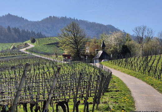25-04-04-spaziergang-rammersweier-grosse weinflasche-schoenstatt-025