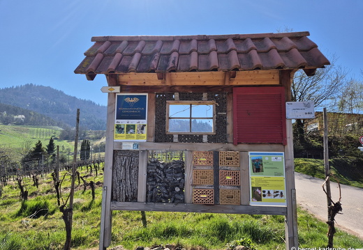 25-04-04-spaziergang-rammersweier-grosse weinflasche-schoenstatt-027
