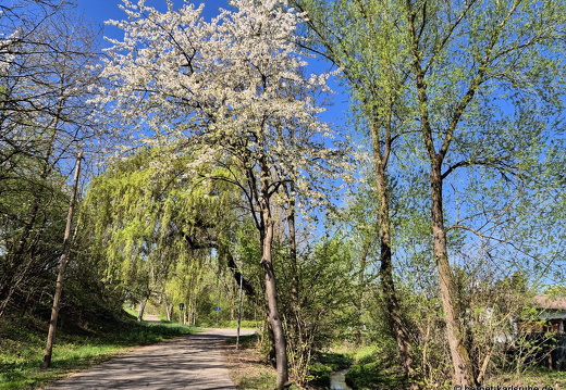 25-04-05-teichstrasse-