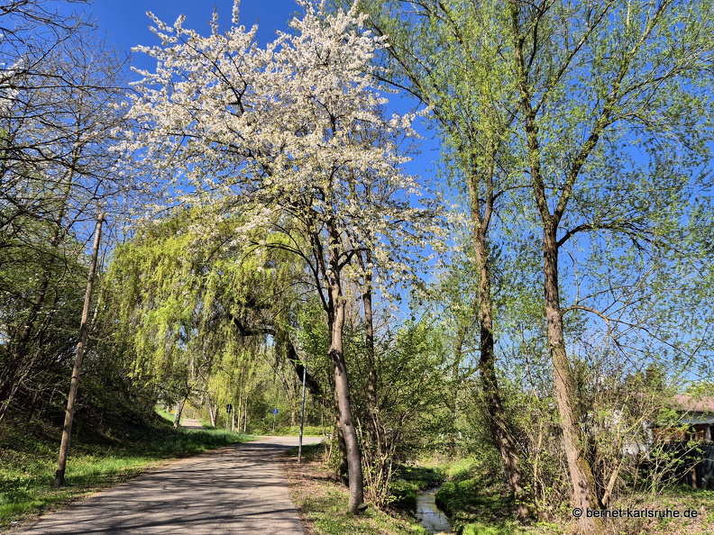 25-04-05-teichstrasse-.jpg