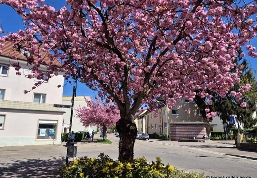 25-04-08-schillerstrasse-