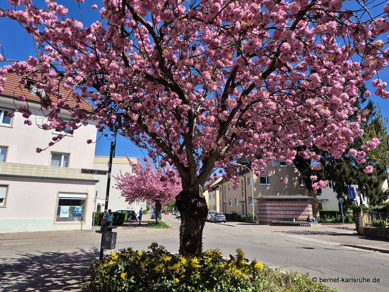 25-04-08-schillerstrasse-.jpg