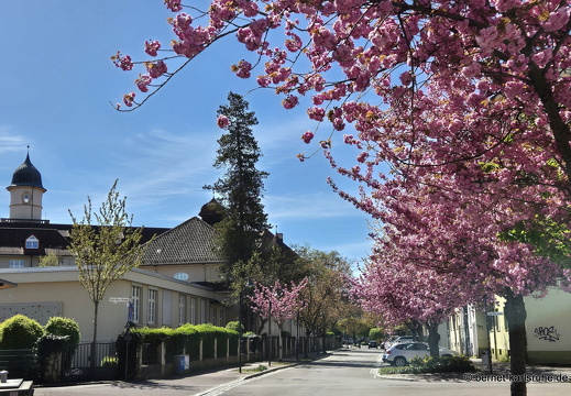 25-04-08-schillerstrasse-001