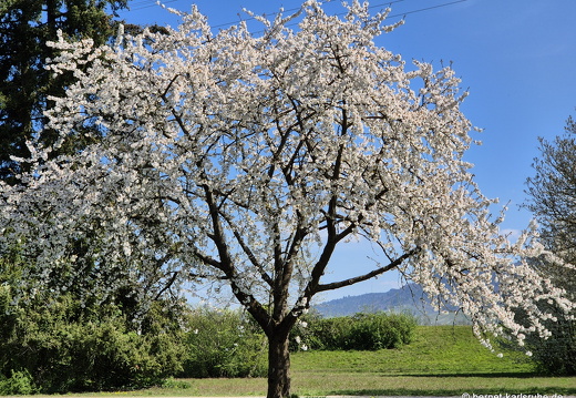 25-04-09-gifizsee-008