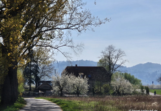 25-04-10-muehlbach-am grossendeich-001