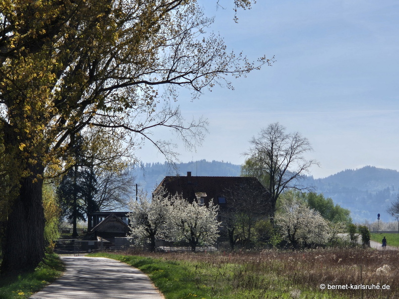 25-04-10-muehlbach-am grossendeich-001.jpg