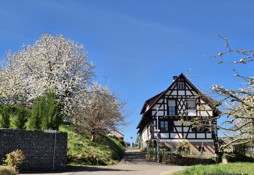 25-04-12-fessenbach-033