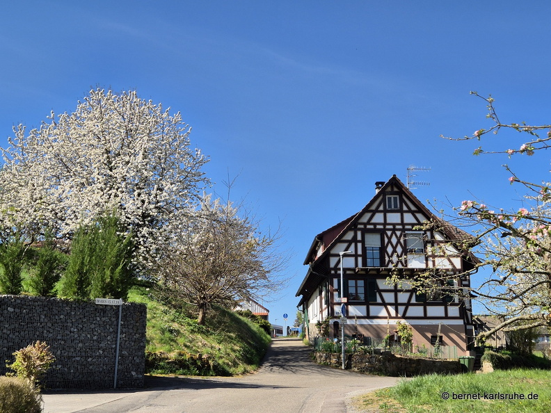25-04-12-fessenbach-033.jpg