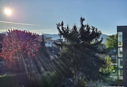 25-04-19-tannwegaussicht-rotbuche-001