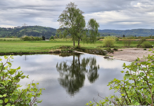 25-04-21-am grossendeich-