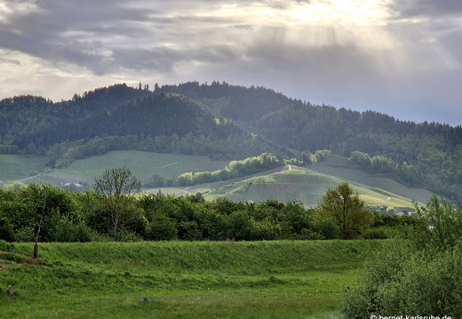 25-04-21-wilhelmstrasse-003
