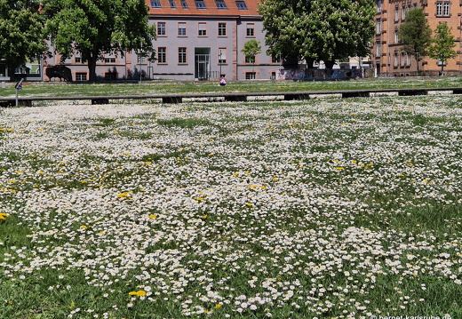 25-04-22-kulturforum-003