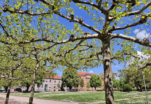 25-04-22-kulturforum-008