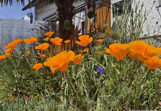 25-04-27-weinstrasse-004