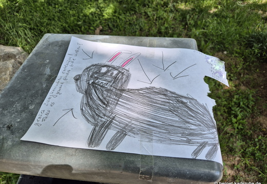 25-05-09-zwergkaninchen entlaufen-