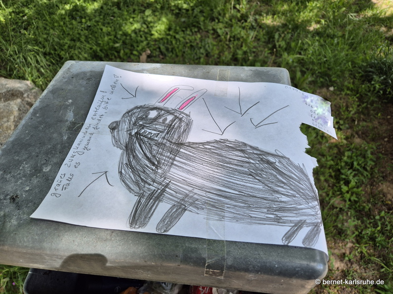 25-05-09-zwergkaninchen entlaufen-.jpg