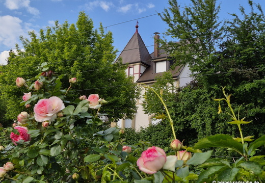 25-05-17-bellenwaldweg-