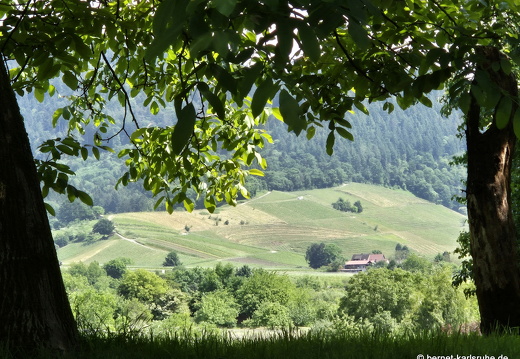 25-05-22-walter-blumenstock-