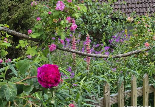 25-05-22-walter-blumenstock-009