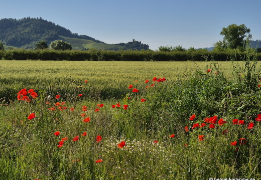 25-05-31-wilhelm-suedring-schlossortenberg-