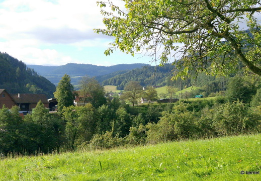 24-08-20-oppenau-017