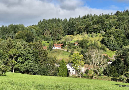24-08-20-oppenau-030