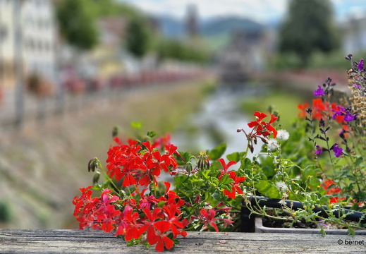 24-08-20-oppenau-038