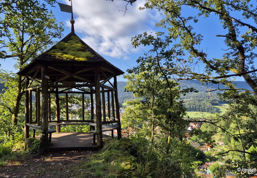 24-08-27-oppenau-rotkehlchenpfad-