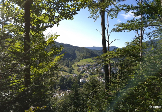 24-08-27-oppenau-rotkehlchenpfad-018