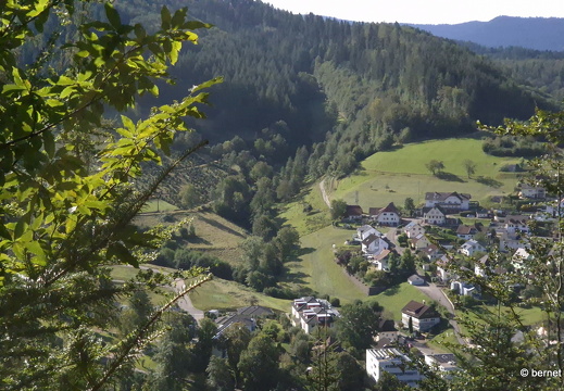24-08-27-oppenau-rotkehlchenpfad-019