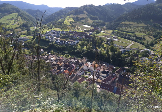 24-08-27-oppenau-rotkehlchenpfad-023