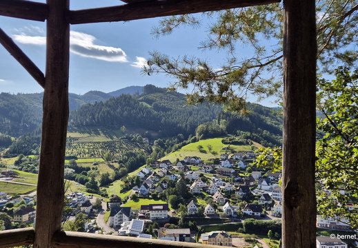 24-08-27-oppenau-rotkehlchenpfad-028