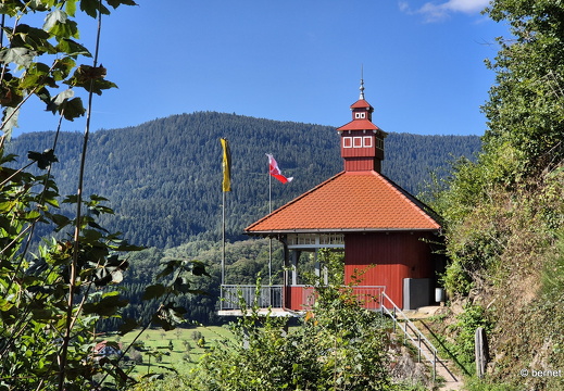 24-08-27-oppenau-rotkehlchenpfad-032