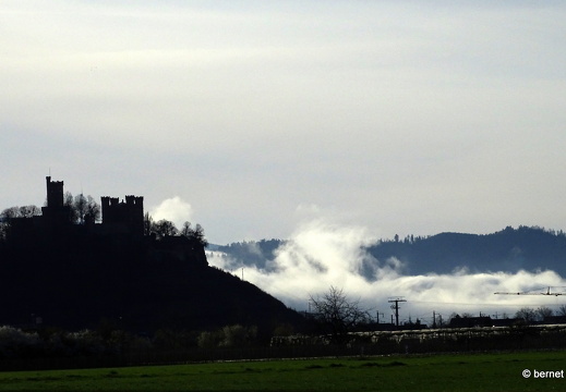24-03-14-ortenbergschloss-fruehnebel-001